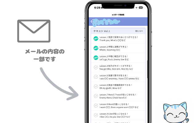 実際に届いたレベルメール