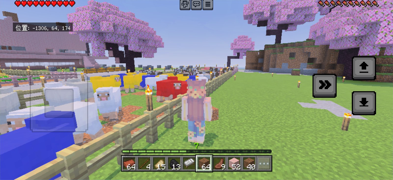 わが家の子がマイクラで作った色とりどりの羊の牧場