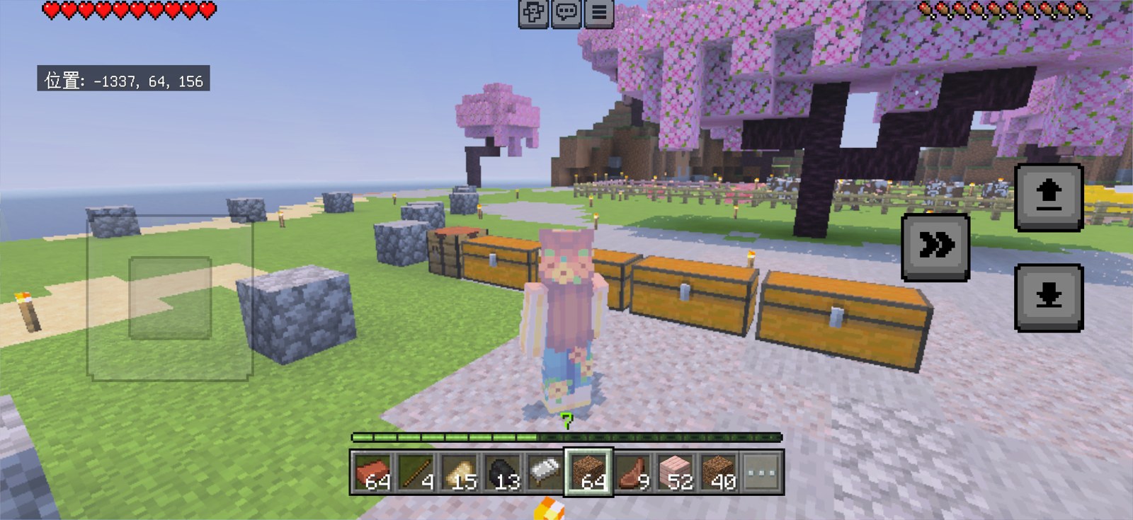 わが家の子がマイクラで作った桜バイオームの村