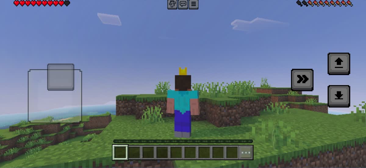 わが家のiPad版マイクラ(統合版)のプレイ画面